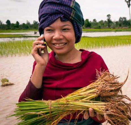 Contact and Negotiate with Farmers Directly