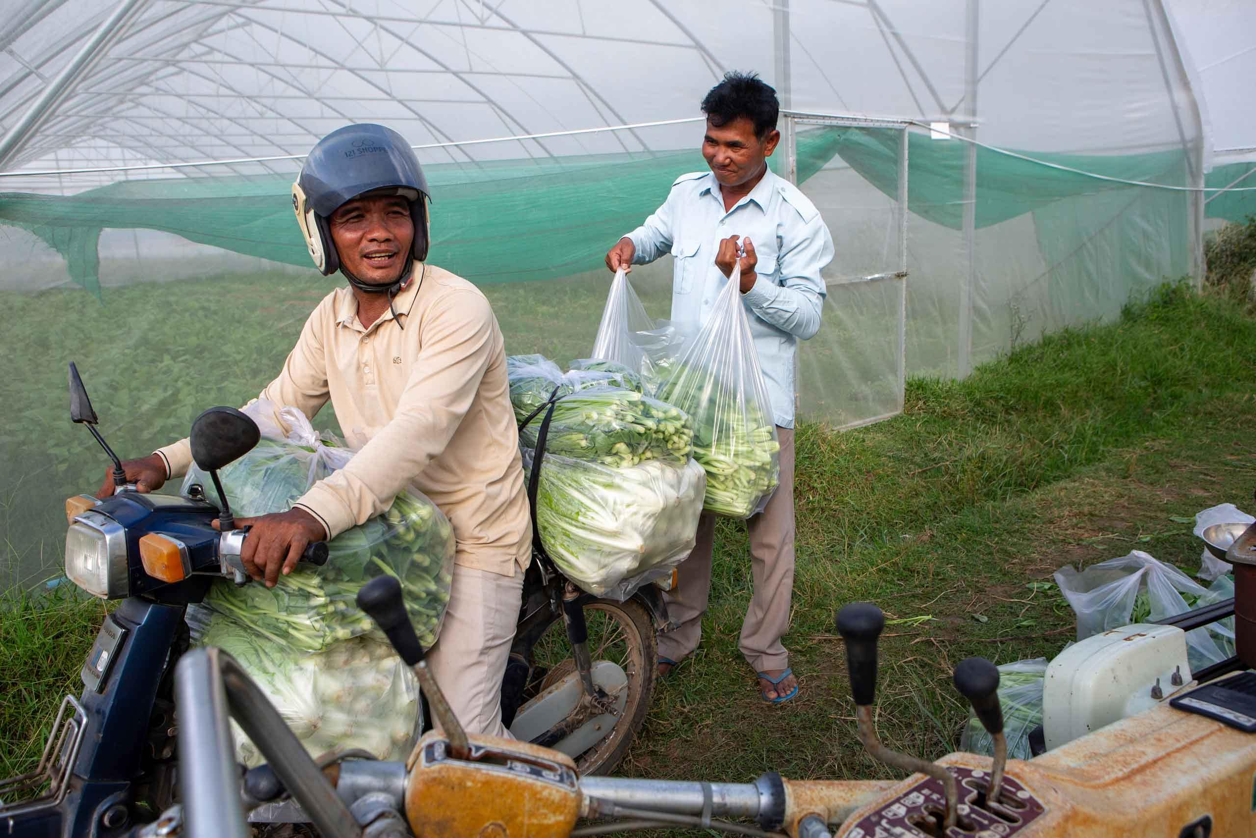 Farmers trading vegetables - Sell your products easily